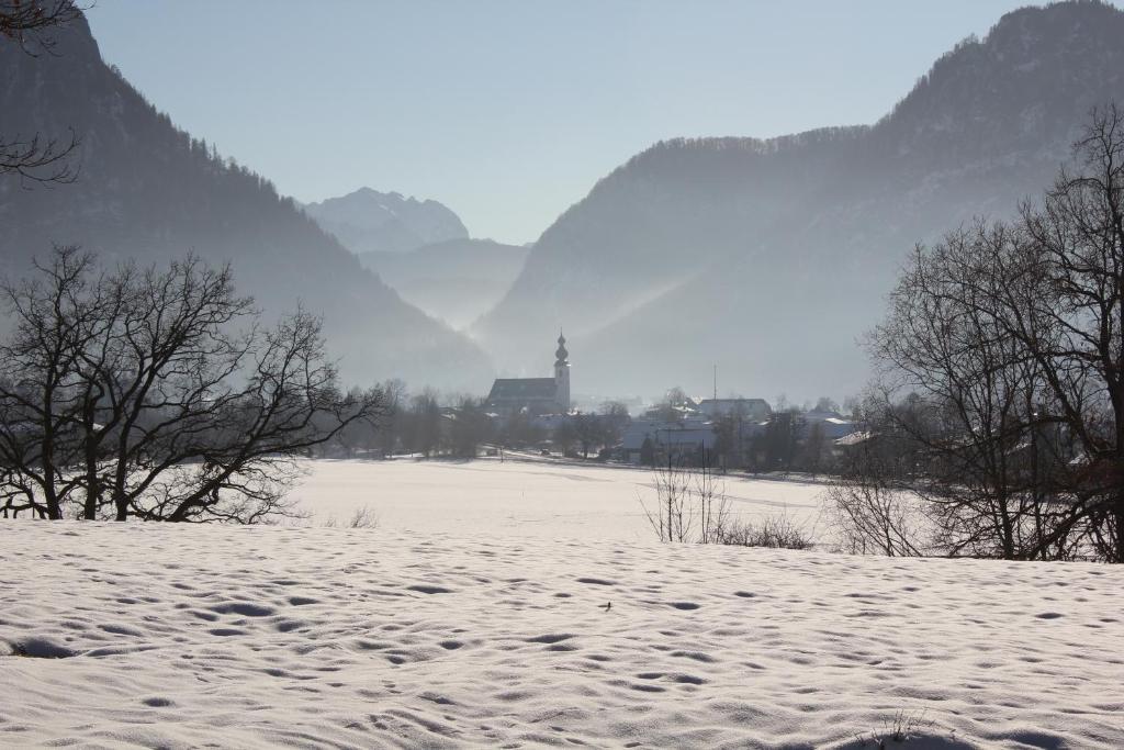 Apartment Andrea - Chiemgau Karte Inzell Exterior photo