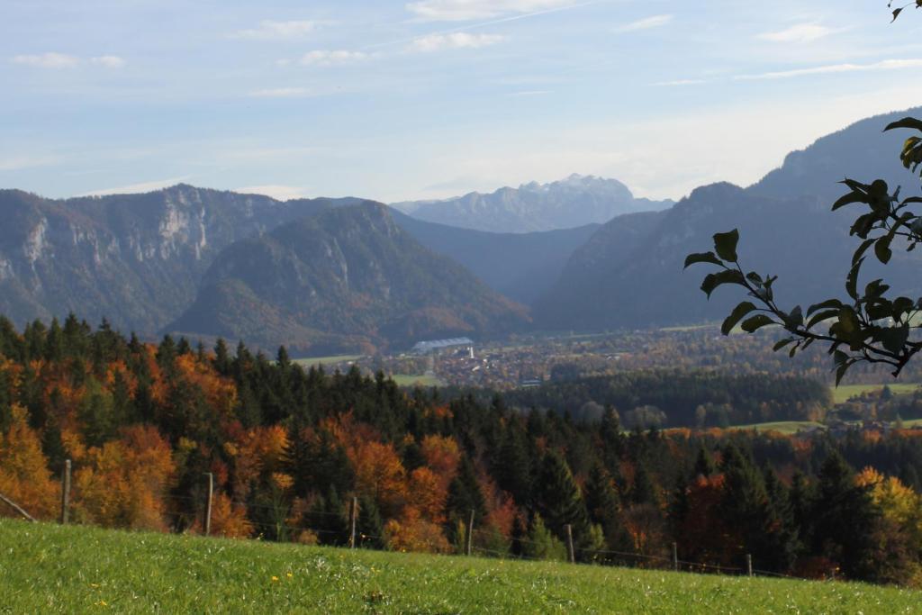 Apartment Andrea - Chiemgau Karte Inzell Exterior photo