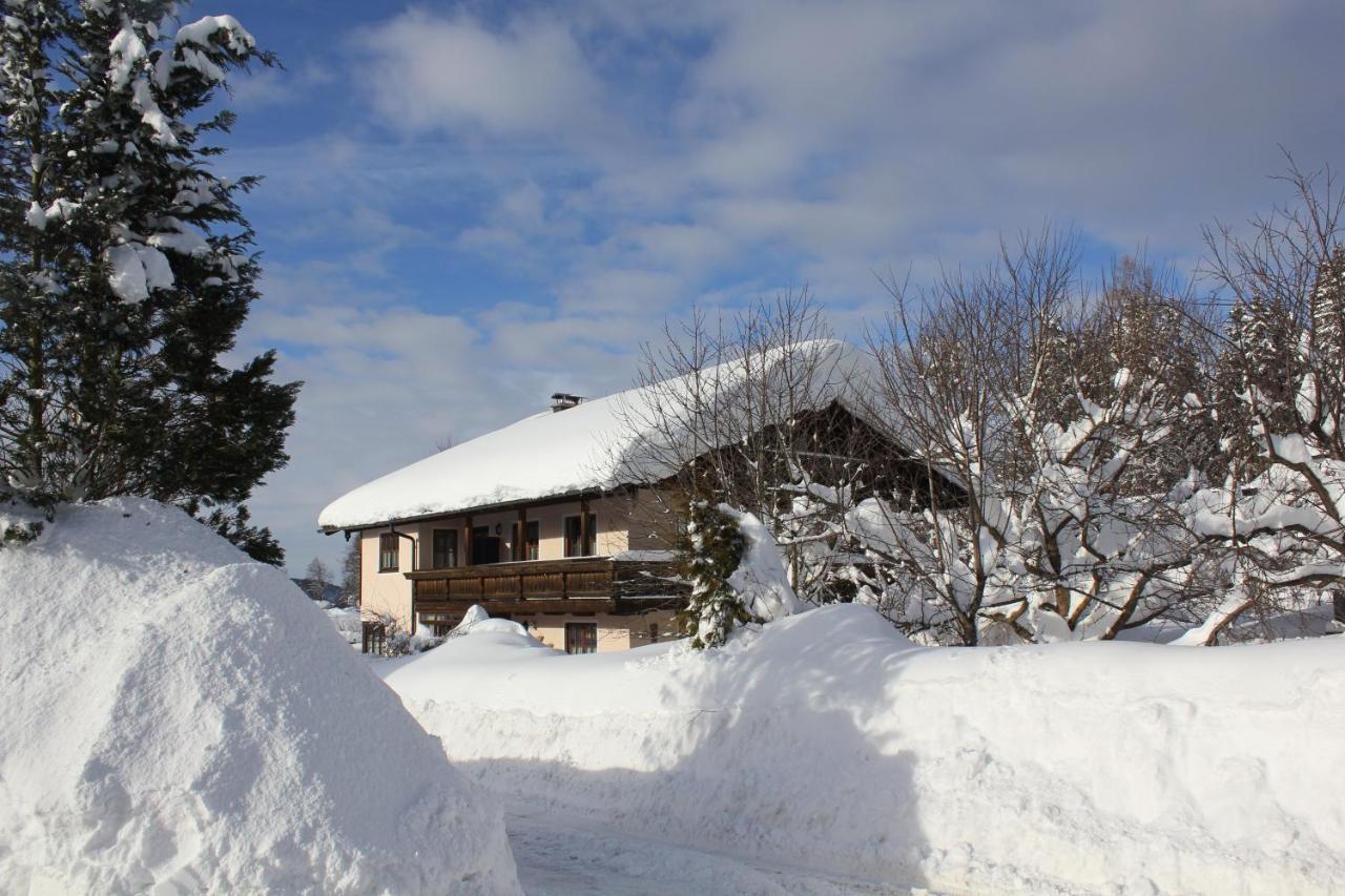 Apartment Andrea - Chiemgau Karte Inzell Exterior photo