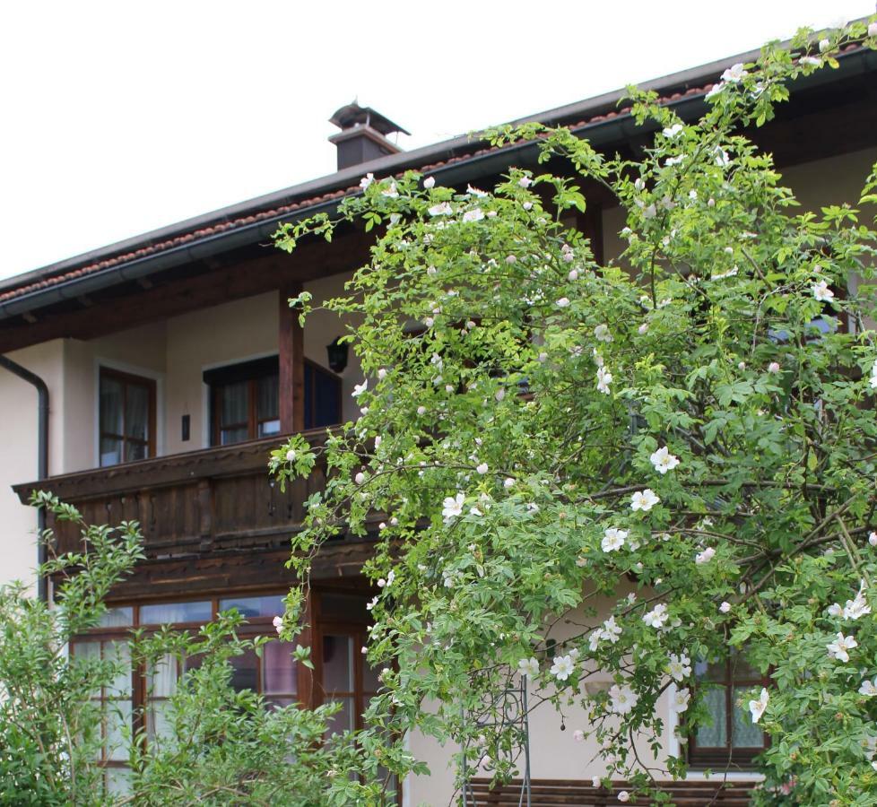 Apartment Andrea - Chiemgau Karte Inzell Exterior photo